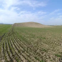 زمین-کشاورزی-محدوده-گالیکش