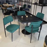 میز و صندلی مدل هلنا(اقساطی)