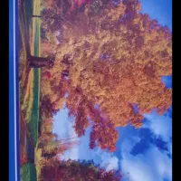 پازل|اسباببازی|سنندج, |دیوار