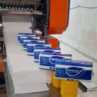 دستمال کاغذی ۲۰۰ برگ