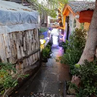 کارگر ساده برای باغ رستوران