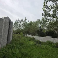 فروش-زمین-375-متری-مسکونی-صومعه-سرا-روستای-ندامان