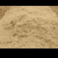 کاه گندم درجه یک|حراج|رشت, سعدی (تختی)|دیوار