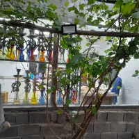 کافه،رستوران،غذا خوری و ،سوپر‌مارکت جاده تبریز