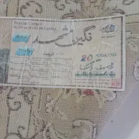 فرش نگین مشهد رنگ کرمی|فرش|علیآباد کتول, |دیوار