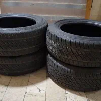 رینگ ولاستیک