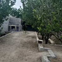 باغ-دنج