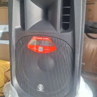 باند‌اکتیو‌زیکو