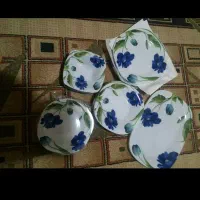 سرویس ارکوپال