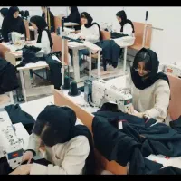 استخدام چرخکار