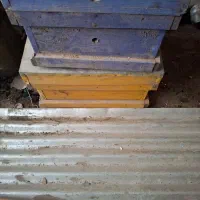 کندو خالی فروشی