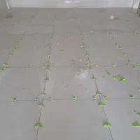 اجرای انواع کاشی وسرامیک و نمای ساختمان وغیره|خدمات پیشه و مهارت|کوهدشت, |دیوار