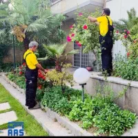 باغبانی و کار های باغچه