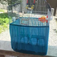 قفس بزرگ مناسب طوطی