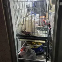 قفس طوطی بافت ضخیم