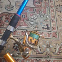 لنسر حرفه ای انتظاری