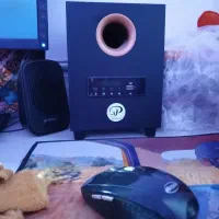 کامپیوتر|رایانه رومیزی|کاشان, کارگر|دیوار