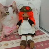 بافت عروسک آنه شرلی|صنایع دستی و سایر لوازم تزئینی|نهبندان, |دیوار