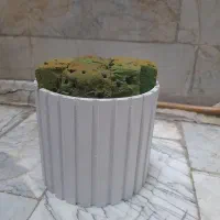 ظرف گلدان طبیعی