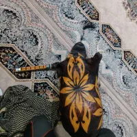 نی انبان خوش صدا و خوش خوان