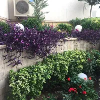 نیاوران / فرمانیه ۱۲۰ متر ۲ خواب اکازیون واقعی|اجارهٔ آپارتمان|تهران, اقدسیه|دیوار