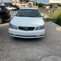 ماکسیما درجه یک