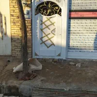 کرکره برقی|مصالح و تجهیزات ساختمان|خوشاب, |دیوار