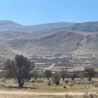 زمین باغ شهری واقع در مجموعه سبز دشت بمو باجگاه|فروش زمین و ملک کلنگی|شیراز, دانشکده دامپزشکی شیراز|دیوار