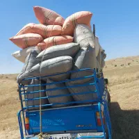 کاه دیم درجه یک|خدمات باغبانی و درختکاری|مسجد سلیمان, |دیوار