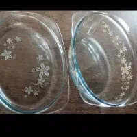 سوپ خوری یا مرغ خوری درب دار
