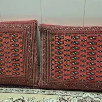 دو جفت پشتی