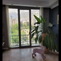 بر-فرمانیه-تابلو-خور-110-متری