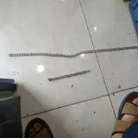 گردن بند و دست بند
