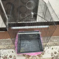 قفس|لوازم جانبی حیوانات|قم, خاکفرج|دیوار