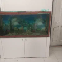 اکواریوم کمد دار