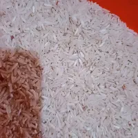 برنج شمیم کیسه ۱۰کیلوی ۱۸۰۰  فقط امروز داخل شهر