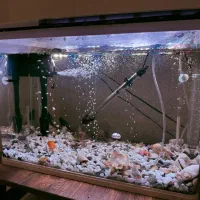 فروش آکواریوم سی استار شیشه خمیده در حد نو