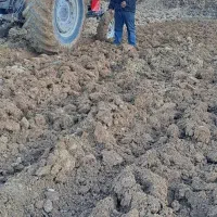 شخم و ردیف کار|خدمات باغبانی و درختکاری|کوهدشت, |دیوار