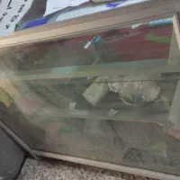 ویترین مغازه|فروشگاه و مغازه|ایذه, |دیوار