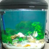 اکواریم  شیشه خم ماهیران همراه تسویه آب و نور