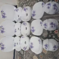 سرویس ارکوپال گلدن اوپال|ظروف سرو و پذیرایی|ری, ولی آباد|دیوار