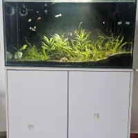 آکواریوم ۱۰۰ × ۴۰ × ۵۰