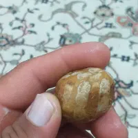 سنگ خام|جواهرات|چمران, |دیوار