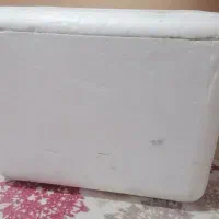 یخدان یونولیتی