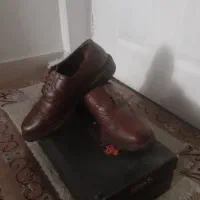 کفش‌مجلسی۰۴۲به‌۴۳‌هم‌میخوره|کیف، کفش، کمربند|تهران, آرژانتین|دیوار