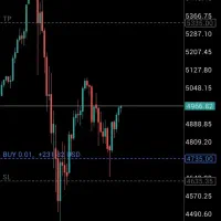 همکاری با تریدر فارکس کریپتو راهنمای سرمایه