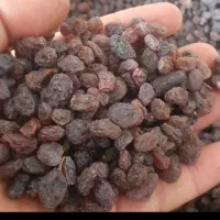 خرید و فروش کشمش افتاب خشک|عمده‌فروشی|رشت, باهنر|دیوار