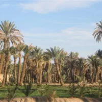 فروش-زمین-مسکونی-آبادان