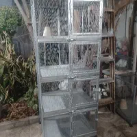 قفس اهنی کبوتر دمگیر خرقه نقره‌ای سینه واز کفتر