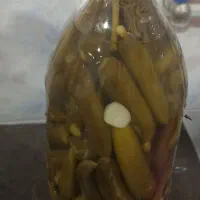 خیار شور ترد و خوشمزه|خوردنی و آشامیدنی|شیرینسو, |دیوار